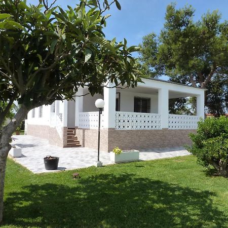 Chalet Verde Tavernes de Valldigna Exterior photo