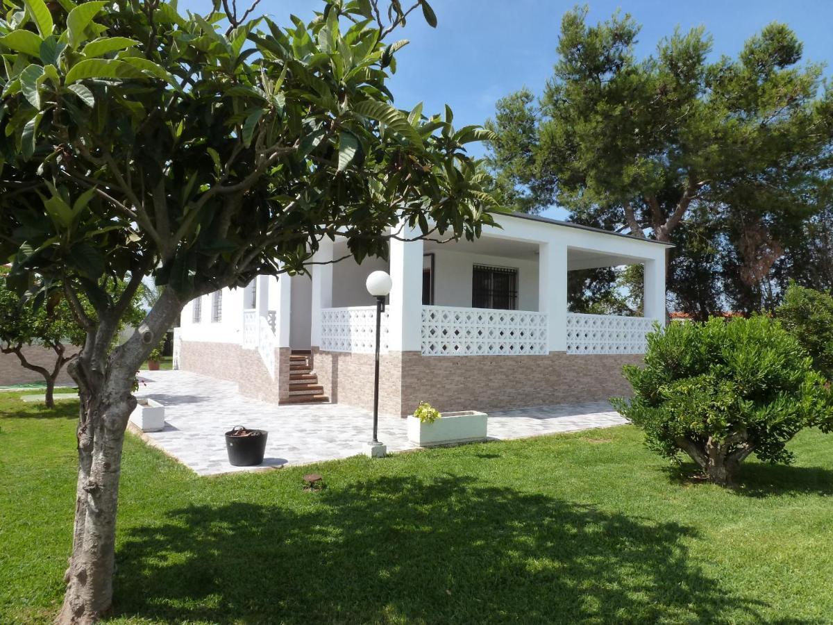 Chalet Verde Tavernes de Valldigna Exterior photo